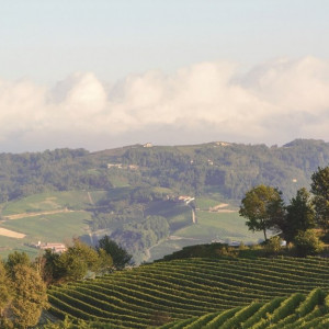 BAROLO AND LANGHE WINE REGION </br> ISBA CONGRESS