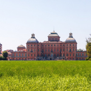 Royal Tales<br>Royal Gardens in Bloom,<br>