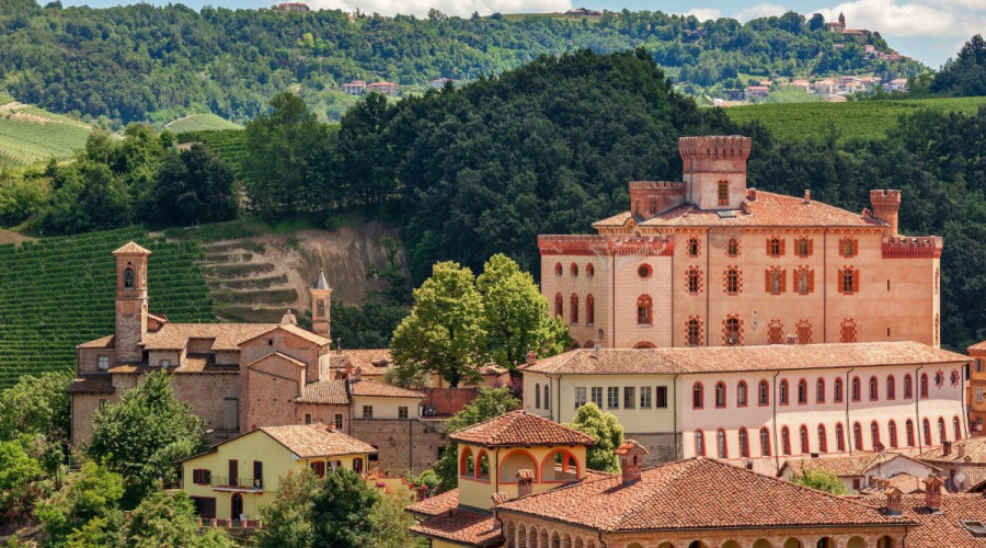 barolo-region-5498.jpg