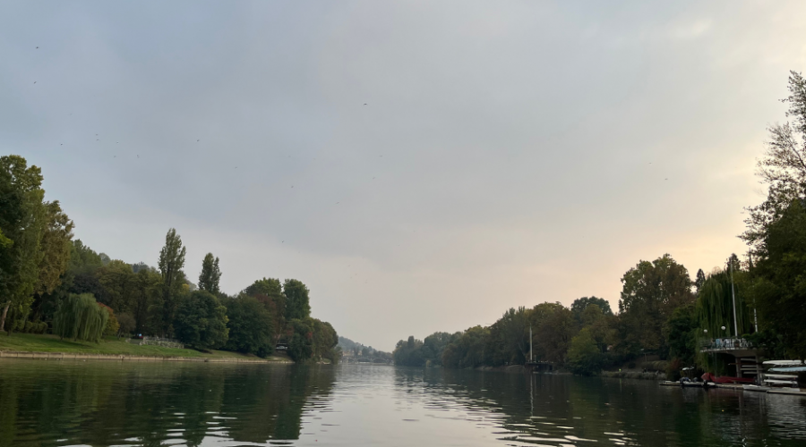 canoa-torino-somewheretour-42.png