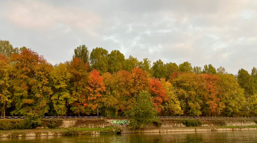 canoa-torino-somewheretour-44-4985.png