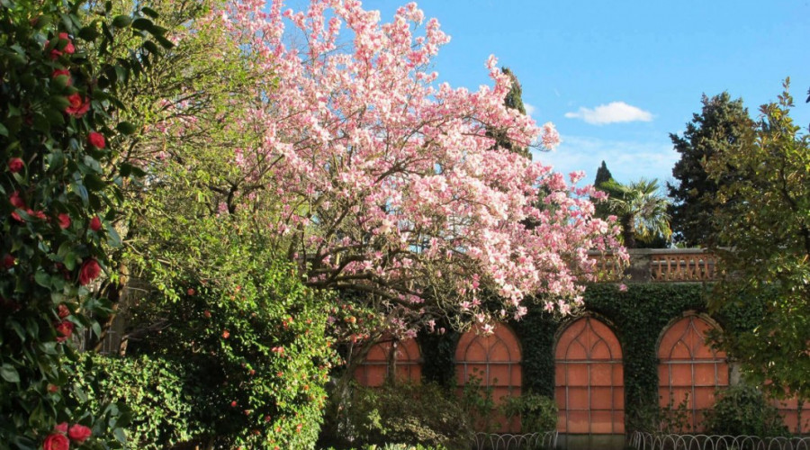 castello-montecavallo-giardino.jpg