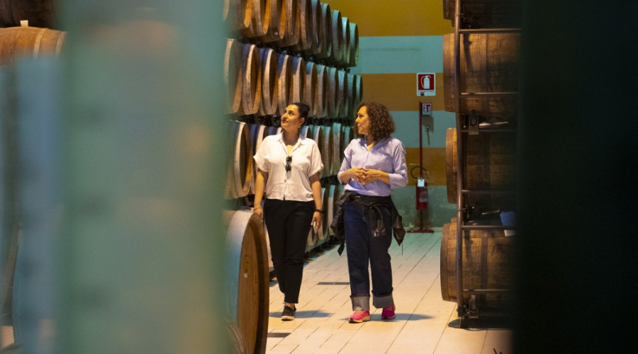 distilleria-sibonatn-34.jpg