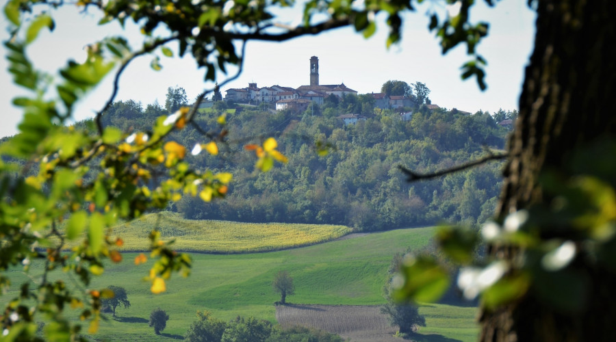foto-langhe-18-034.jpg