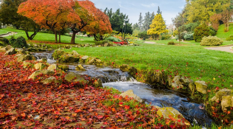 shutterstock181449653parco-valentinolow.jpg