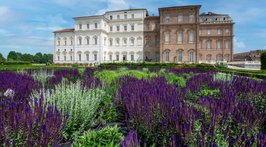 shutterstock1840054363reggia-di-venarialow.jpg