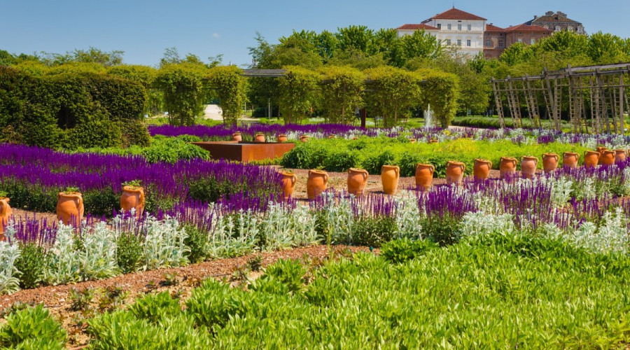 shutterstock668553997reggia-di-venarialow.jpg