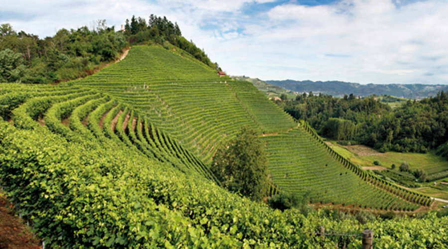 somewhere-tour-aziende-barolodiscovery-3-1.jpg