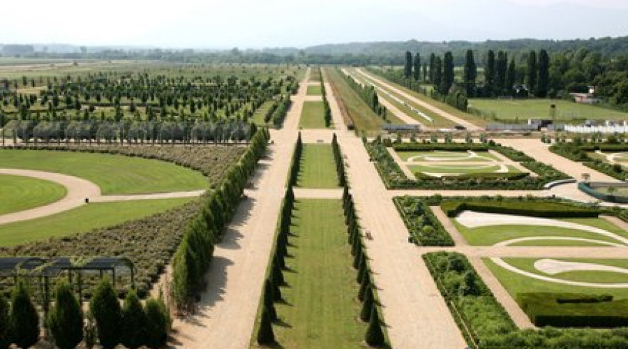 somewheretourslareggiadivenaria-23.jpg