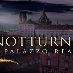 Notturno a Palazzo Reale di Torino - Private Tour