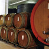 varvello-invecchiamento-aceto-in-barriques-e1518788370819.jpg