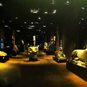 La Magia del Museo Egizio di Torino - Private Tour