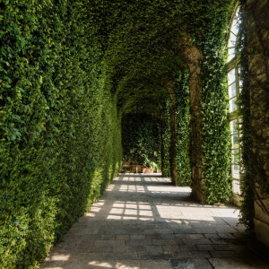 Foliage a corte - Le meraviglie autunnali dei Savoia