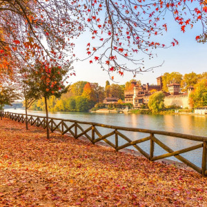 Foliage Reale<br>I colori d’autunno tra Palazzo Reale e Valentino</br>