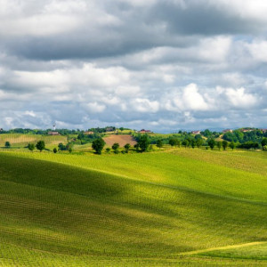 Sulle strade del Monferrato<br>Castelli, vigne e tradizioni 