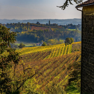 Il Monferrato Autentico<br>Colline, castelli e sapori di tradizione