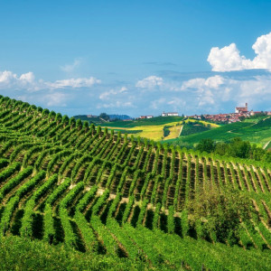 Il Monferrato panoramico<br>Borghi, abbazie e aperitivo tipico 