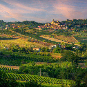 Dimore e alambicchi<br>Storie e sapori del Monferrato 