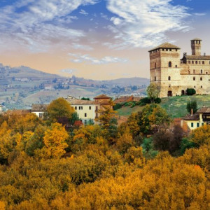 Barolo e Langhe Discovery 