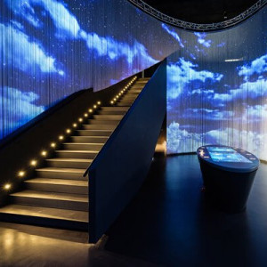 Museo Lavazza - Private Tour