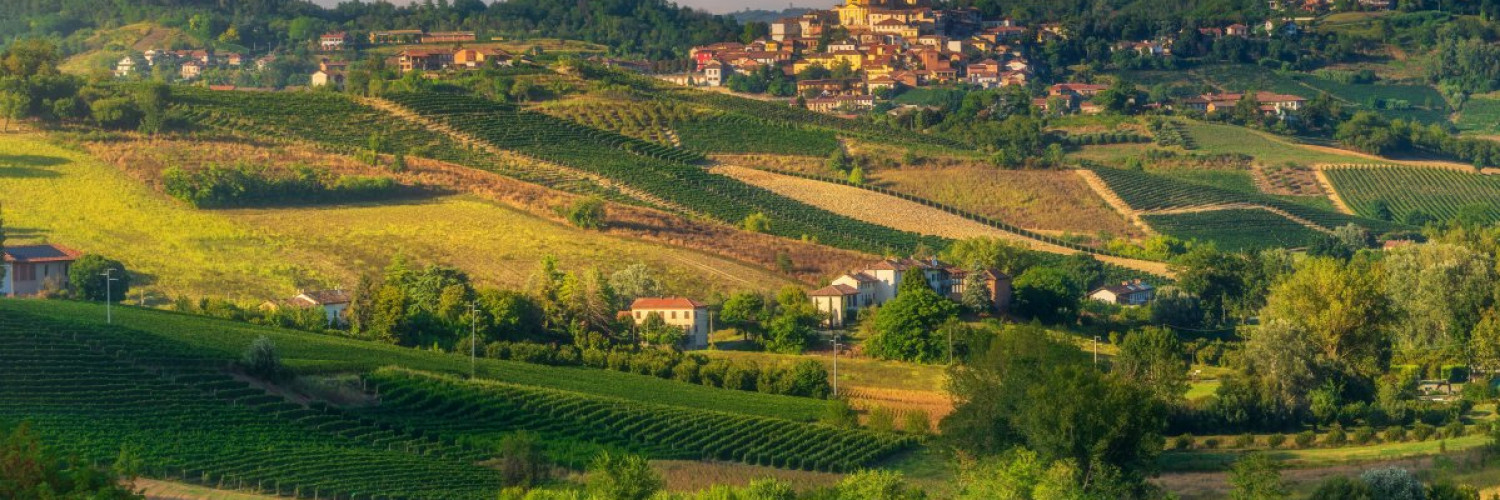 Sulle Tracce di Don Bosco Tra spiritualità, colline e vini del Monferrato 
