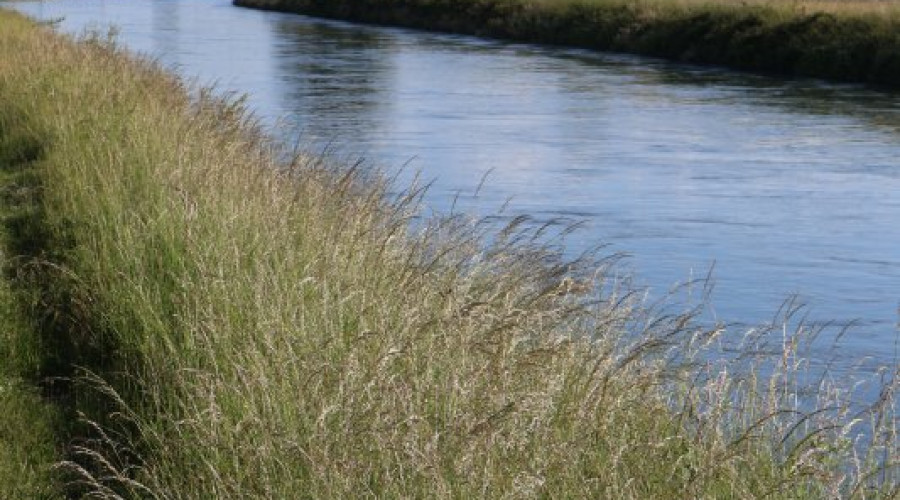 canale-cavour-2.jpeg