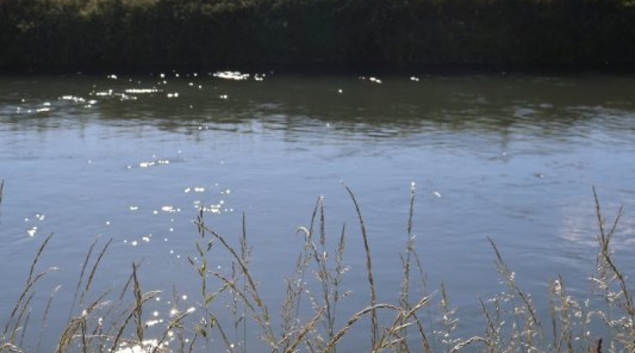 canale-cavour-5.jpeg