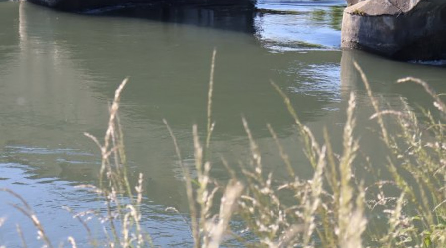 canale-cavour-6.jpeg