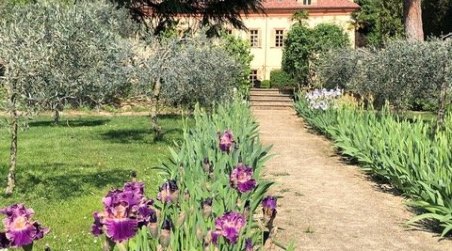 casalajolo-1.jpeg