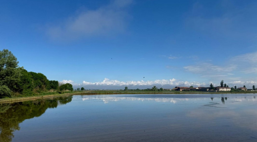 cascina-oschiena-16.jpg