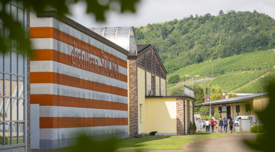 distilleria-sibonatn-13.jpg