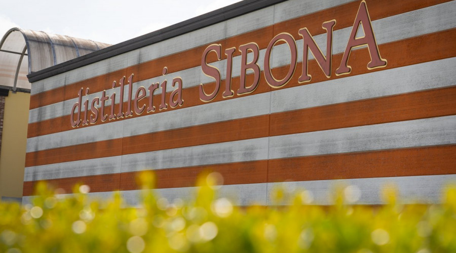 distilleria-sibonatn-4.jpg