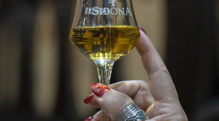 distilleria-sibonatn-54.jpg