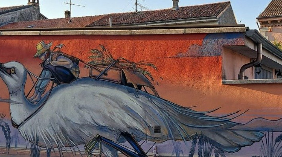 gazza-6463.jpg