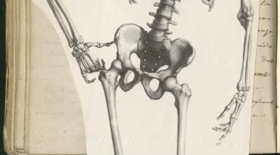 ii-e-1-90220a-3168.jpg