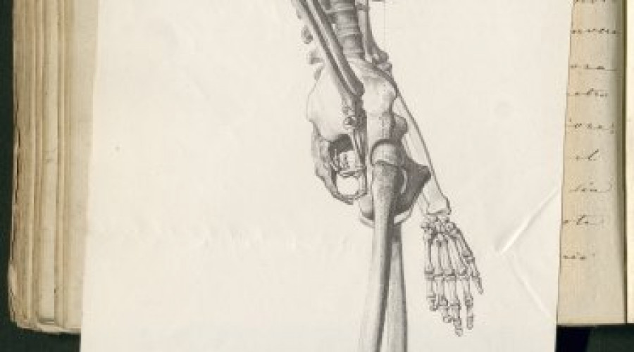 ii-e-1-90224a.jpg