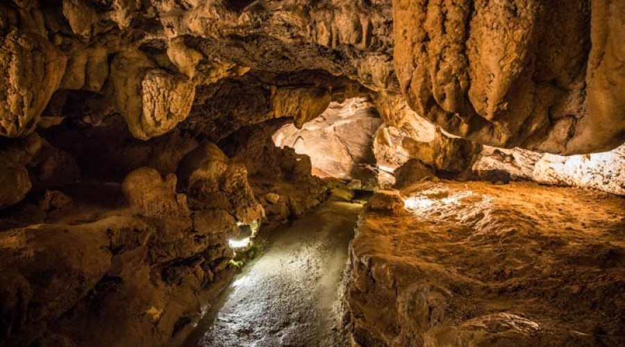 interni-grotta-di-bossea-13.jpg