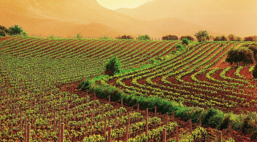 langhe.jpg