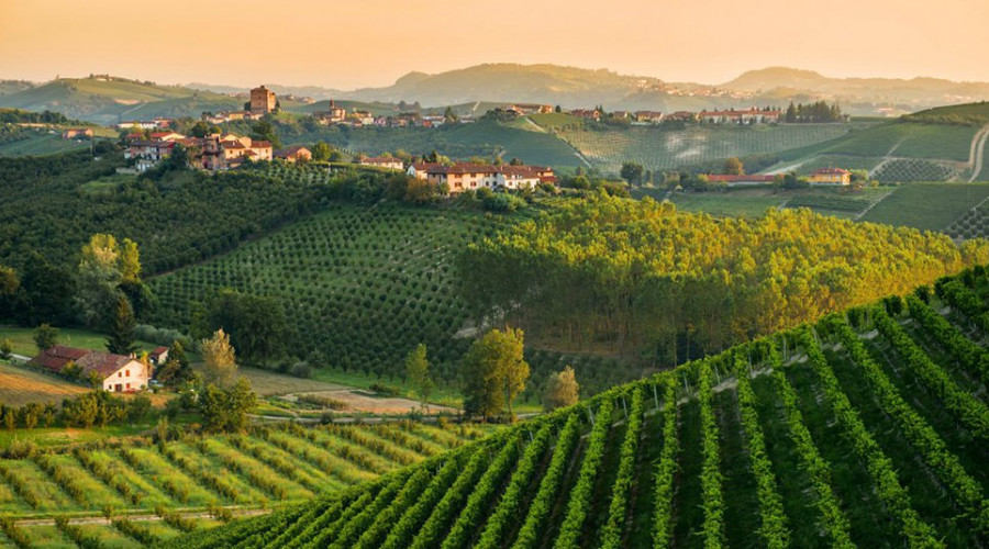 monferrato-panorama-5183.jpg