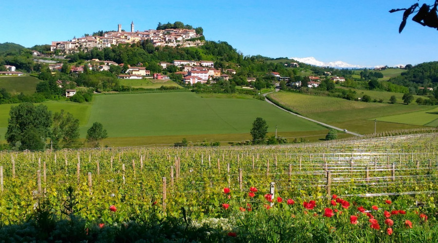 monferrato-tour-1668.jpg