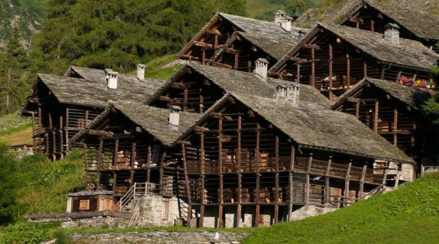 otro-fr-dorf.jpg