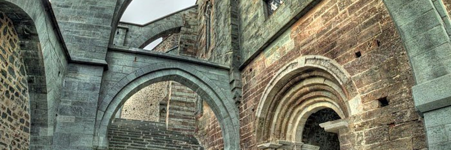 Sacra di San Michele visita guidata con trasferimento in bus da Torino