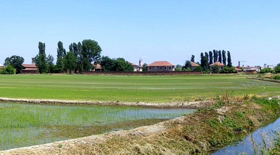 salivercellesepan-wikimedia.jpg