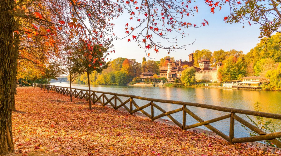 shutterstock1029018880foliagelow-6941.jpg
