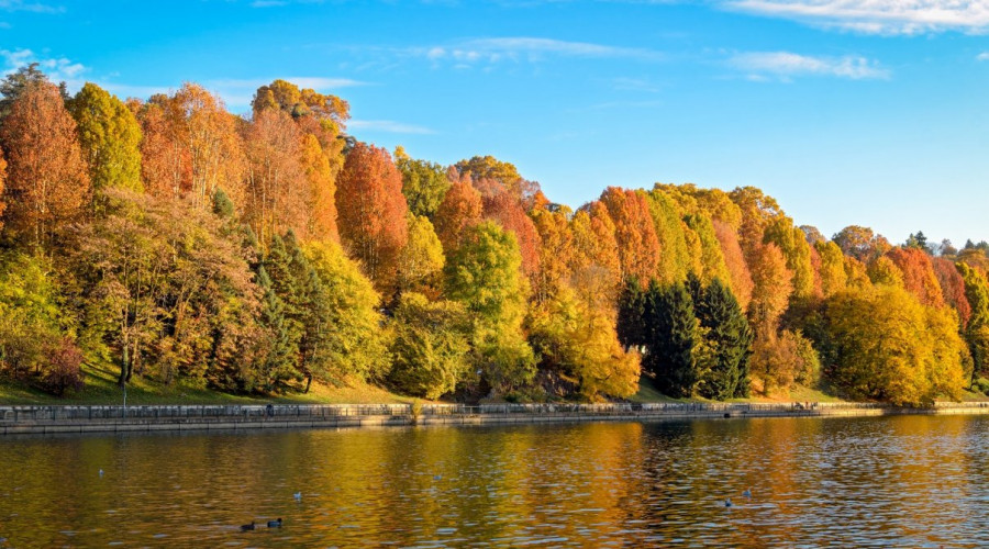 shutterstock335335250foliagelow-6969.jpg
