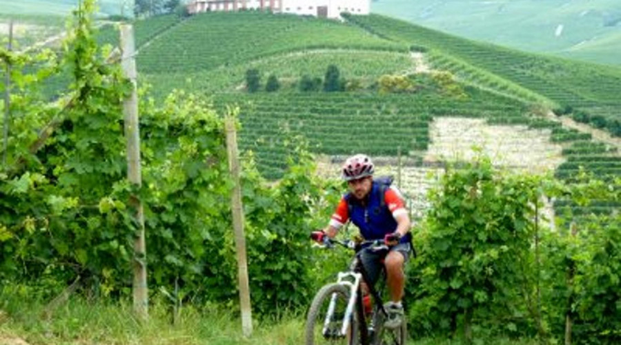 somewhere-tour-aziende-barolobiketrekking-5.jpg