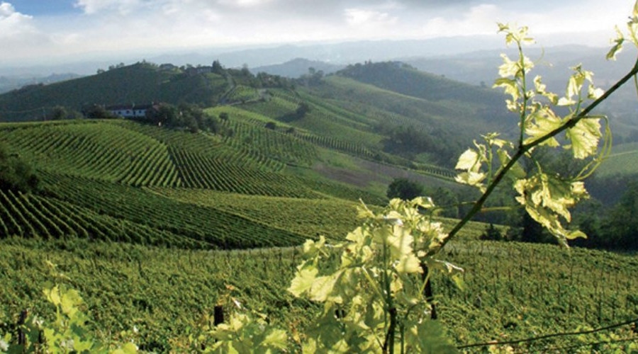 somewhere-tour-aziende-torinowinetour-1-465.jpg