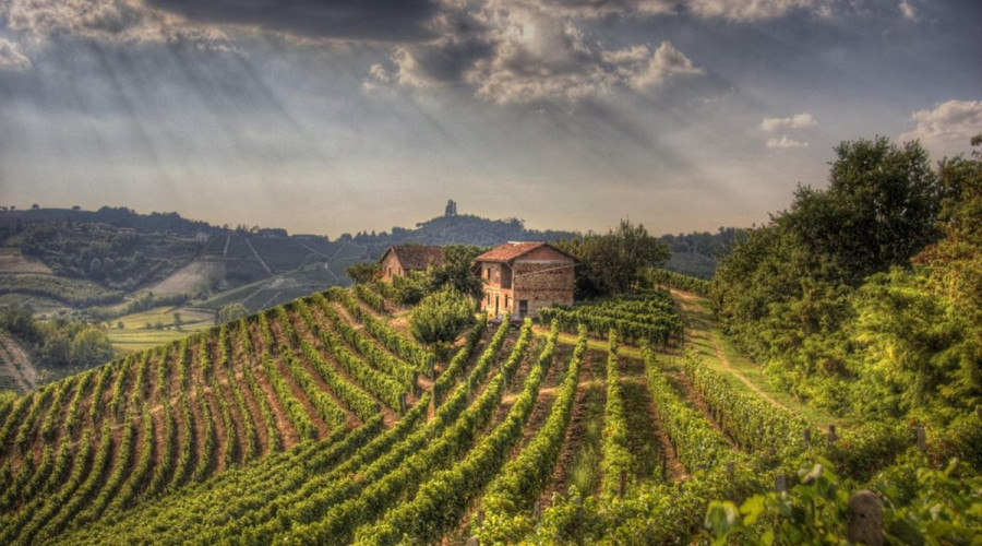 somewhere-tour-aziende-torinowinetour-16.jpg