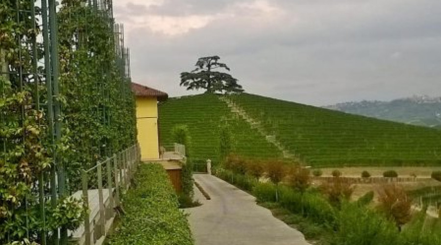 somewhere-tour-aziende-torinowinetour-4.jpg