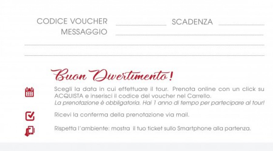 somewhere-tour-torino-voucher-generico.jpg